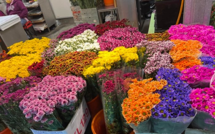 中壢花市哪裡買 中壢花市哪裡買