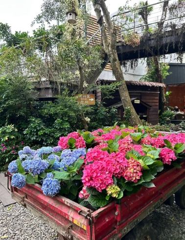 適合老人家的景點輪椅苗栗