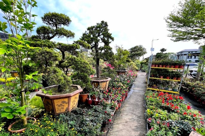 竹北花市 營業時間 竹北花市 營業時間