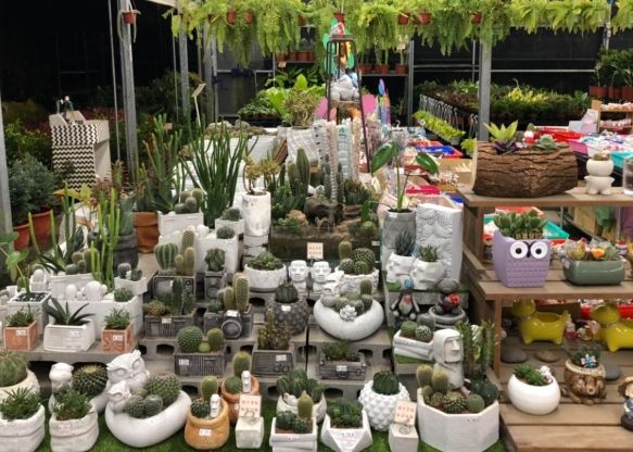 桃園買花去處 桃園買花去處