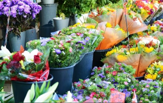 台北花市推薦 台北花市推薦