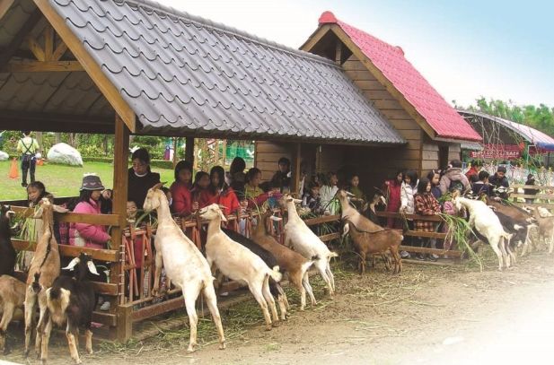 桃園親子農場 桃園親子農場