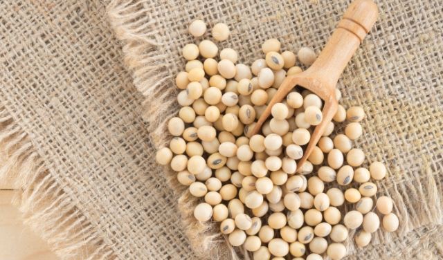 生髮營養食物 生髮營養食物