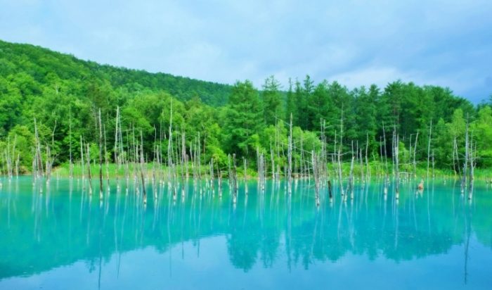 北海道8天7夜自由行夏天