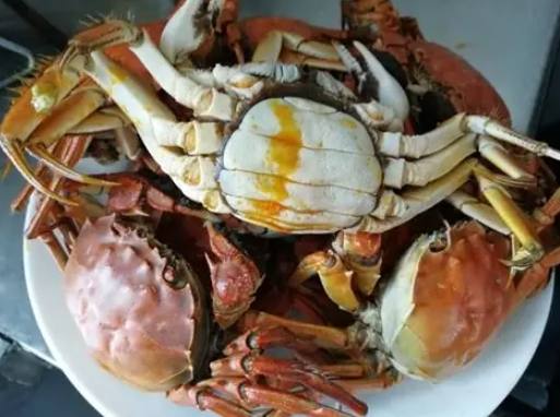 螃蟹料理食譜 螃蟹料理食譜