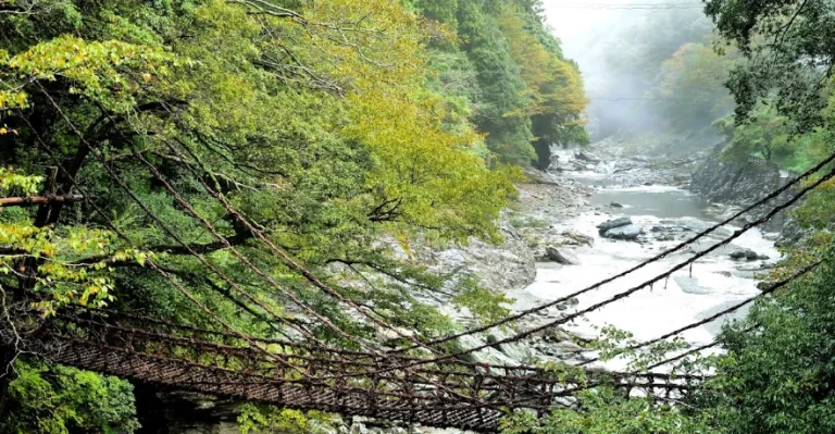 祖谷藤蔓橋大步危