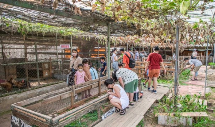 桃園親子農場 桃園親子農場