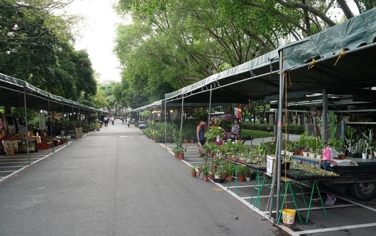 新竹假日花市攤販
