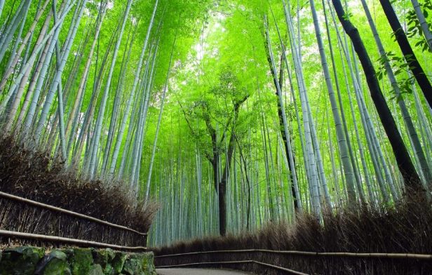 日本關西美食景點 日本關西美食景點