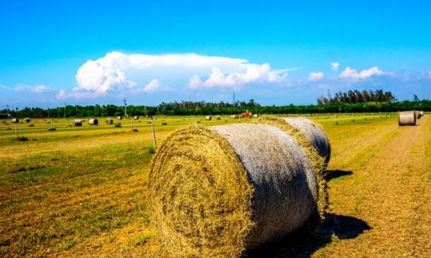 沙崙旅遊攻略 沙崙旅遊攻略