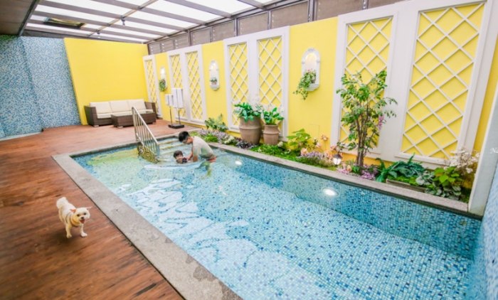 台中寵物友善汽車旅館