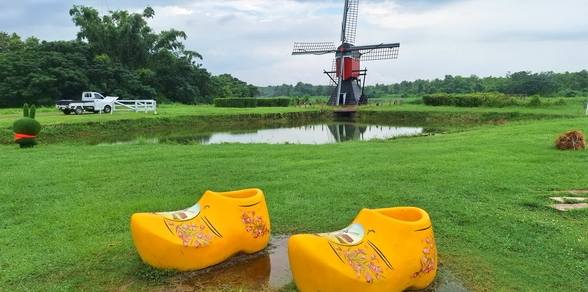 柳營景點推薦 柳營景點推薦