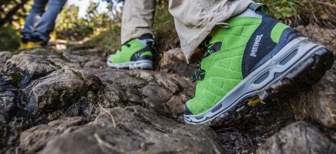 螢火蟲觀賞攻略 螢火蟲觀賞攻略