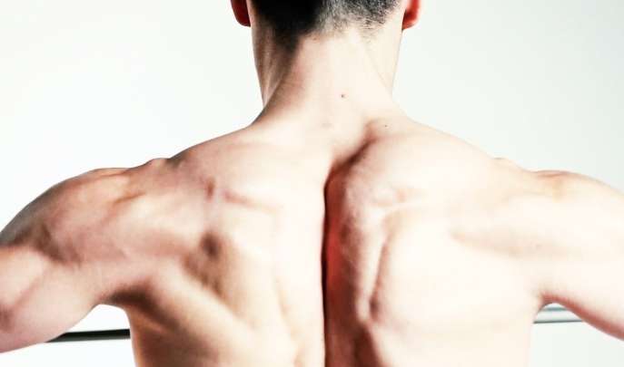 背部肌肉鍛鍊 背部肌肉鍛鍊