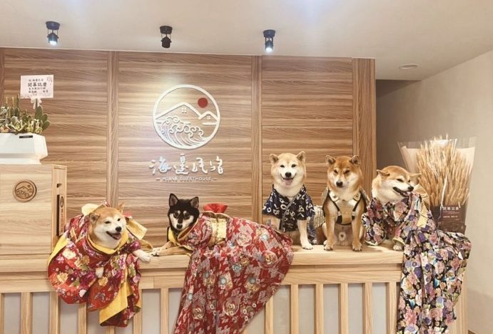 寵物友善住宿推薦 寵物友善住宿推薦