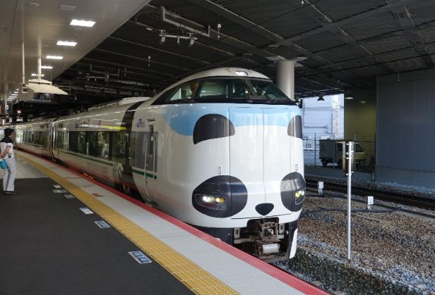 熊貓主題列車 熊貓主題列車