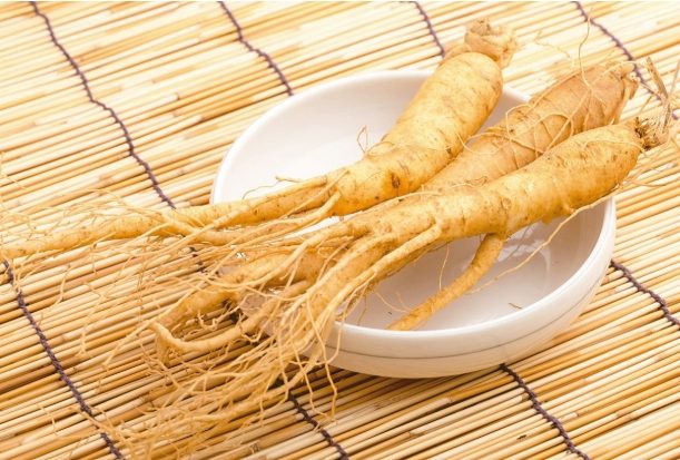 人參湯做法 人參湯做法