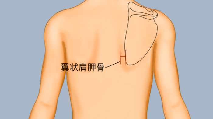 肩外翻動作教學