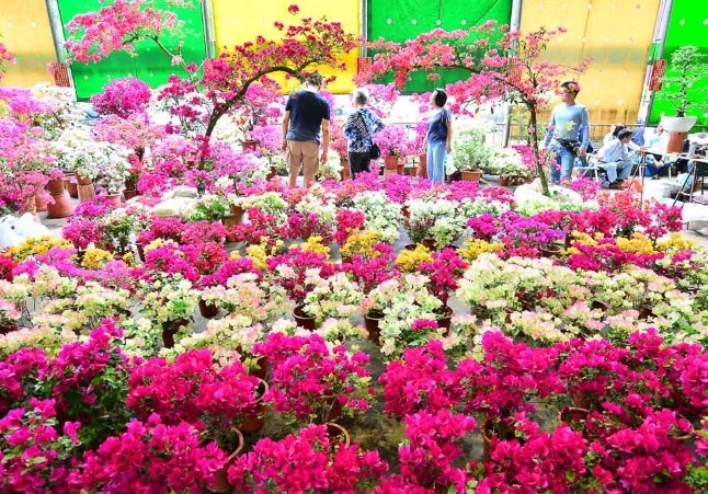 竹北花市 交通 竹北花市 交通