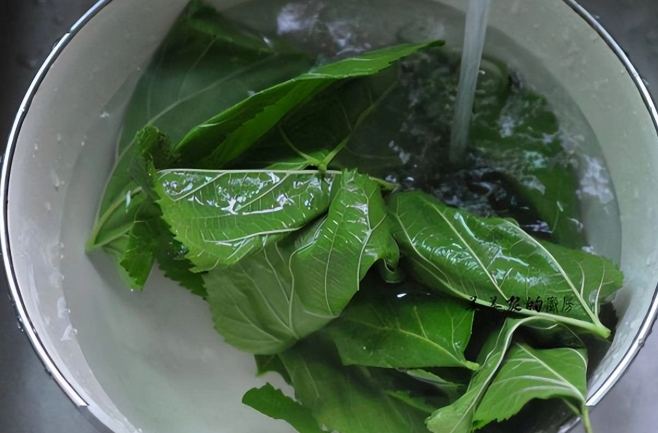 重複煮水健康影響 重複煮水健康影響