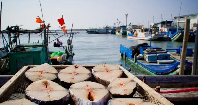 青鯤鯓漁港購物 青鯤鯓漁港購物