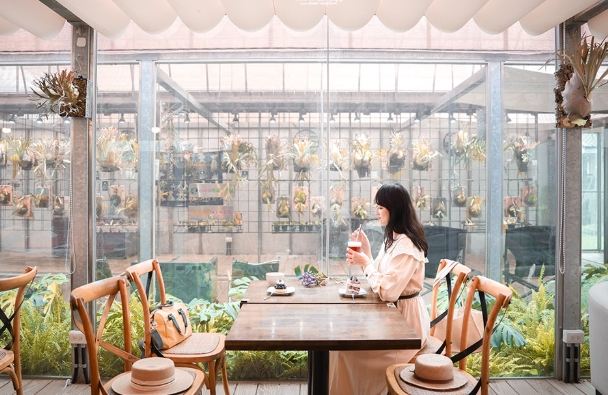 新竹下雨去哪裡 新竹下雨去哪裡