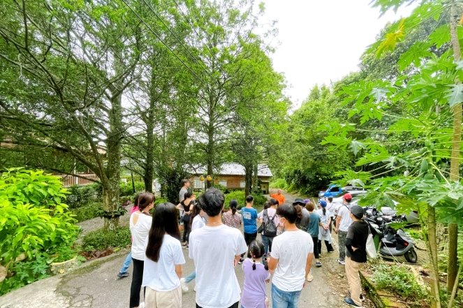 螢火蟲觀賞指南