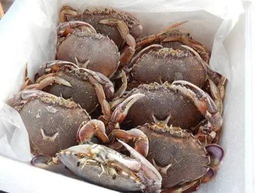 冷凍螃蟹解凍方法 冷凍螃蟹解凍方法