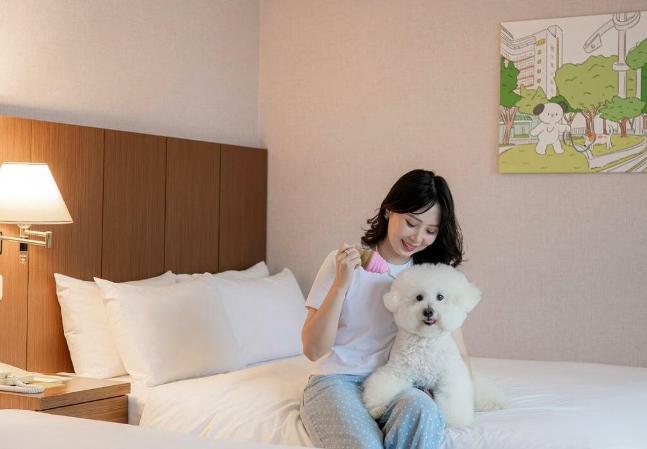 台中帶寵物住宿 台中帶寵物住宿