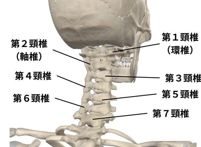 頸部腫塊原因 頸部腫塊原因