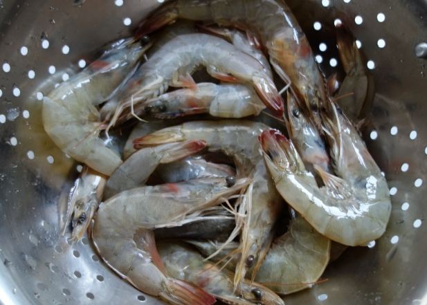 白灼蝦技巧 白灼蝦技巧