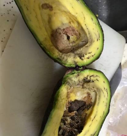 酪梨保存方法 酪梨保存方法