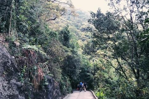 登山道路限制 登山道路限制