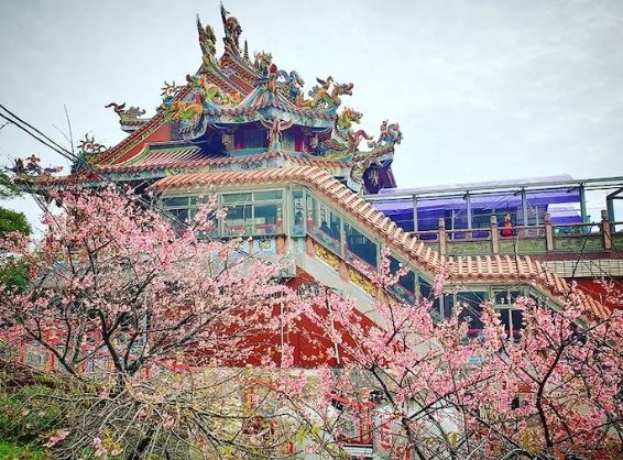 龜山旅遊景點 龜山旅遊景點