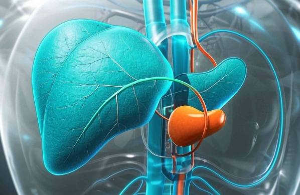 脂肪肝飲食菜單 脂肪肝飲食菜單