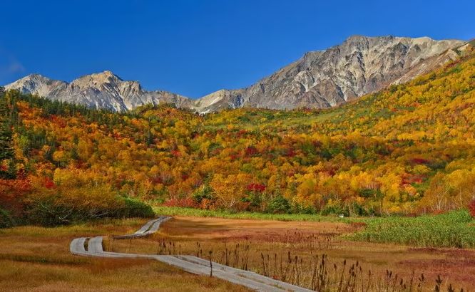 立山黑部9月紅葉