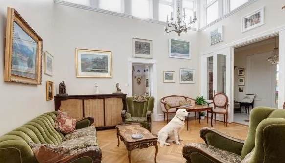 南屯寵物友善民宿 南屯寵物友善民宿