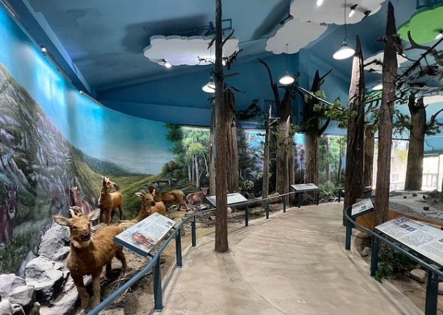 苗栗免費室內場所 苗栗免費室內場所