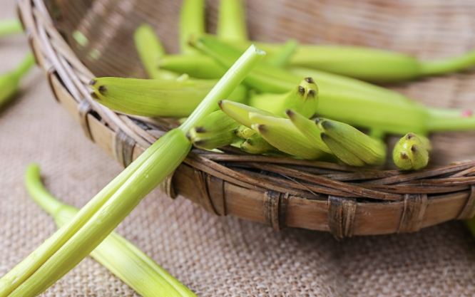 黃花菜健康益處 黃花菜健康益處