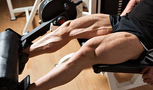 大腿內側訓練 大腿內側訓練