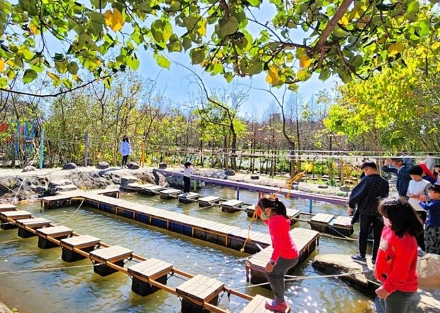 桃園農場推薦 桃園農場推薦