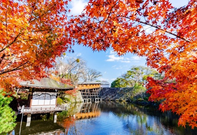和歌山城周邊旅遊 和歌山城周邊旅遊