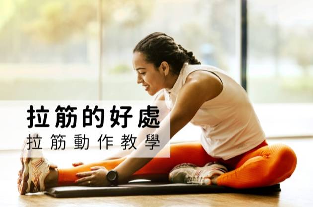 每天拉筋動作