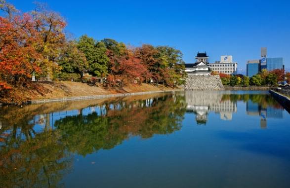 富山賞楓