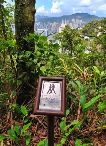 山頂行一圈時間