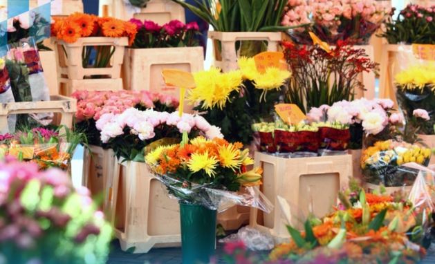 桃園花市比較 桃園花市比較