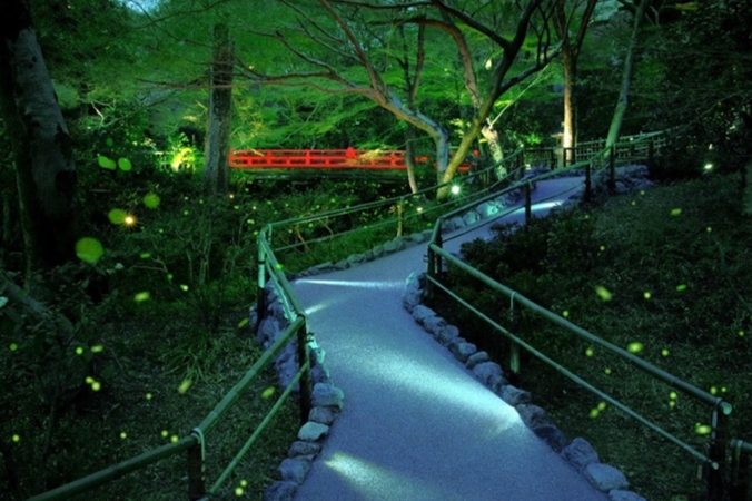 台灣賞螢飯店 台灣賞螢飯店