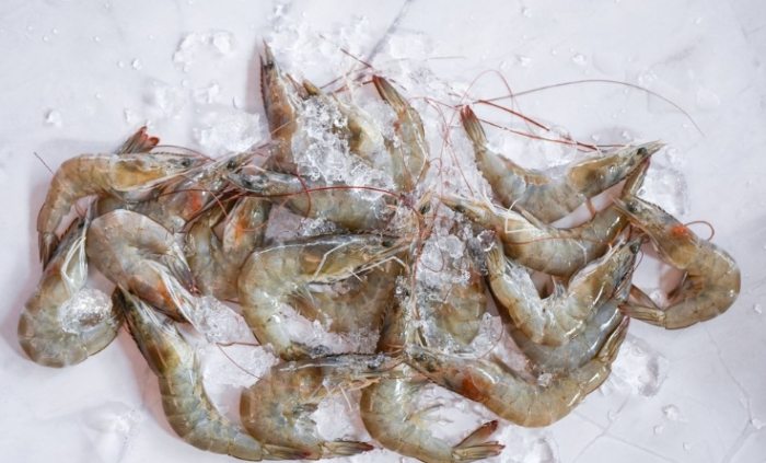 冷凍蝦怎麼挑