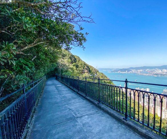 西高山登山步道 西高山登山步道