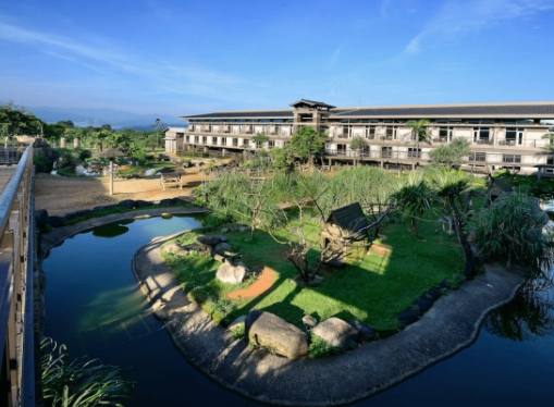 六福村剛果藍天 六福村剛果藍天